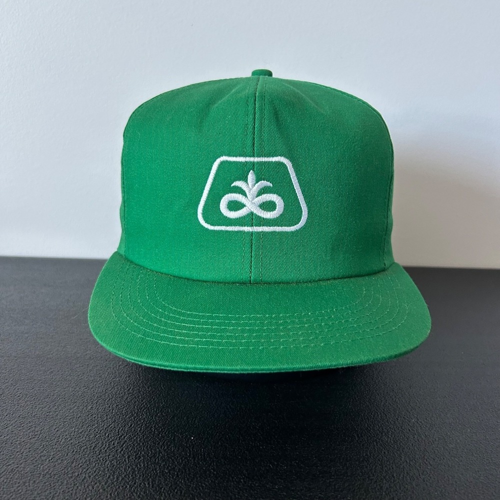Vintage 80s Pioneer‎ Seed Trucker Hat Cap Snap Back Adjustable Green Swingster